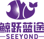 Shanghai Seeyond Optoelectronics Co., Ltd.